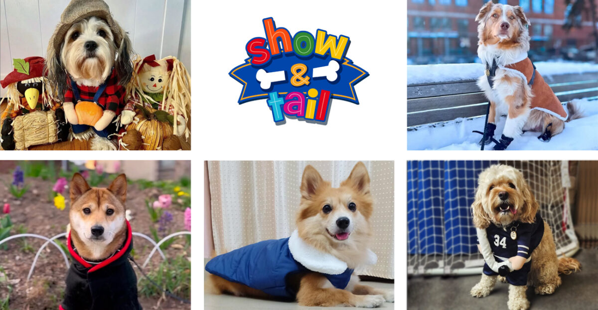 GlobeTrader Welcomes Show & Tail: A Leading Pet Marketplace Joins Our B2B eCommerce Platform